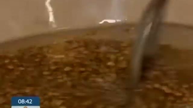 Вредители в Крупах - Больше не Проблема - Ранок - Інтер смотреть онлайн