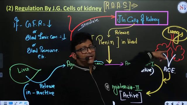 EXCRETORY PRODUCTS AND THEIR ELIMINATION CLASS 11 | NEET 2024 | THEORY + PYQs QUESTIONS | BY MD SIR смотреть онлайн