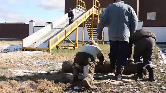 Футбольная/хоккейная коробка и тренажёры в КП "Солнечная поляна" смотреть онлайн