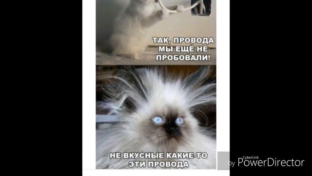 Музыка зомби флекс смотреть онлайн