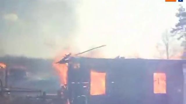Краткое видео о том, к чему приводит выжигание сухой растительности смотреть онлайн