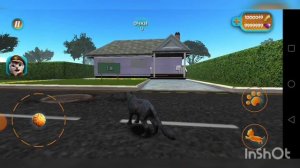 пасхалки и секреты в cat simulator 2015