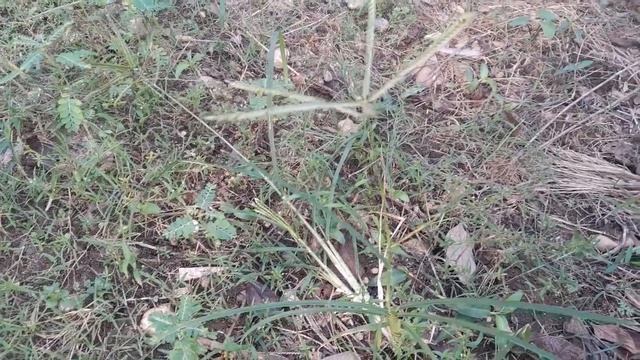 "Adventures in Bookstores: Exploring Unique and Independent Shops" смотреть онлайн