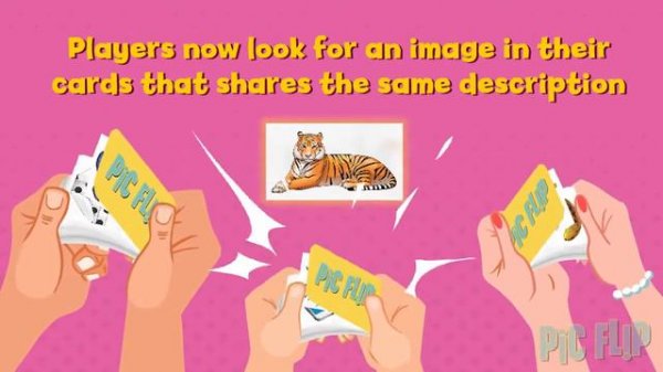 Pic Flip Card Game