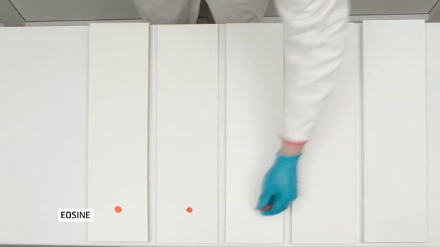 NETTOYABILITE – POLYREY Lab Test