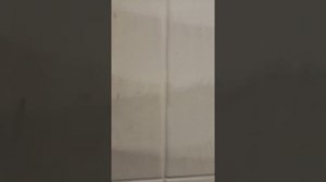 Как быстро отмыть швы плитки, в туалетной комнате.. От ТаБаЧнОгО ДыМа