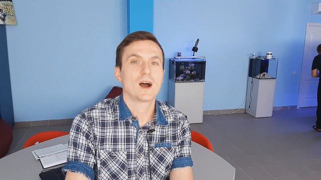 VLOG ReefTank 400.  Позитив. О актиниях квадриколор.