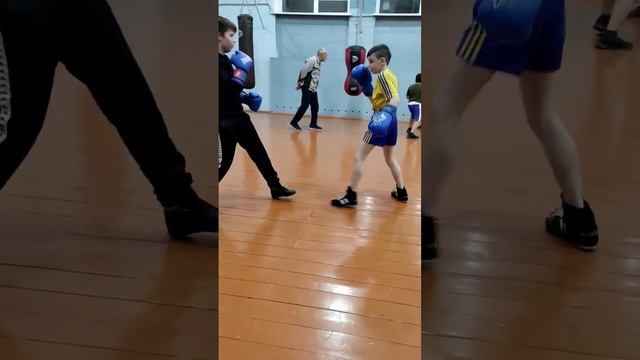тренировка по боксу смотреть онлайн
