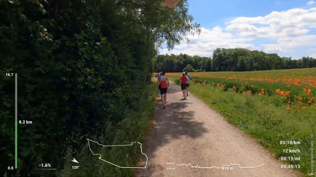 2022 Flughafenlauf | Running Video für Laufband Training | Zürilauf Cup Virtual Run #24 Schweiz смотреть онлайн