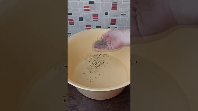 Как избавиться от плохого запаха ног. Полезный лайфхак смотреть онлайн