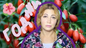 ВНИМАНИЕ! Вы ЭТО должны увидеть! Вся ПРАВДА О ЯГОДАХ ГОДЖИ!Ягоды БЕССМЕРТИЯ?!?