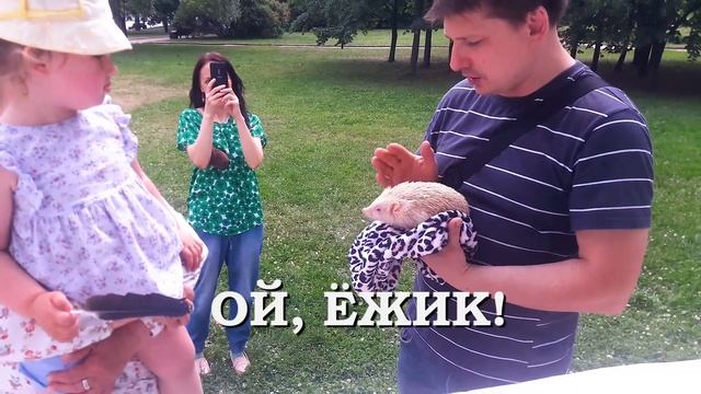 ЕЖИК-ЖАБА-ЛЯГУШКА PARTY. Ежи, лягушки, жабы на веселой фотосессии. Еж, ежики, hedgehog. смотреть онлайн