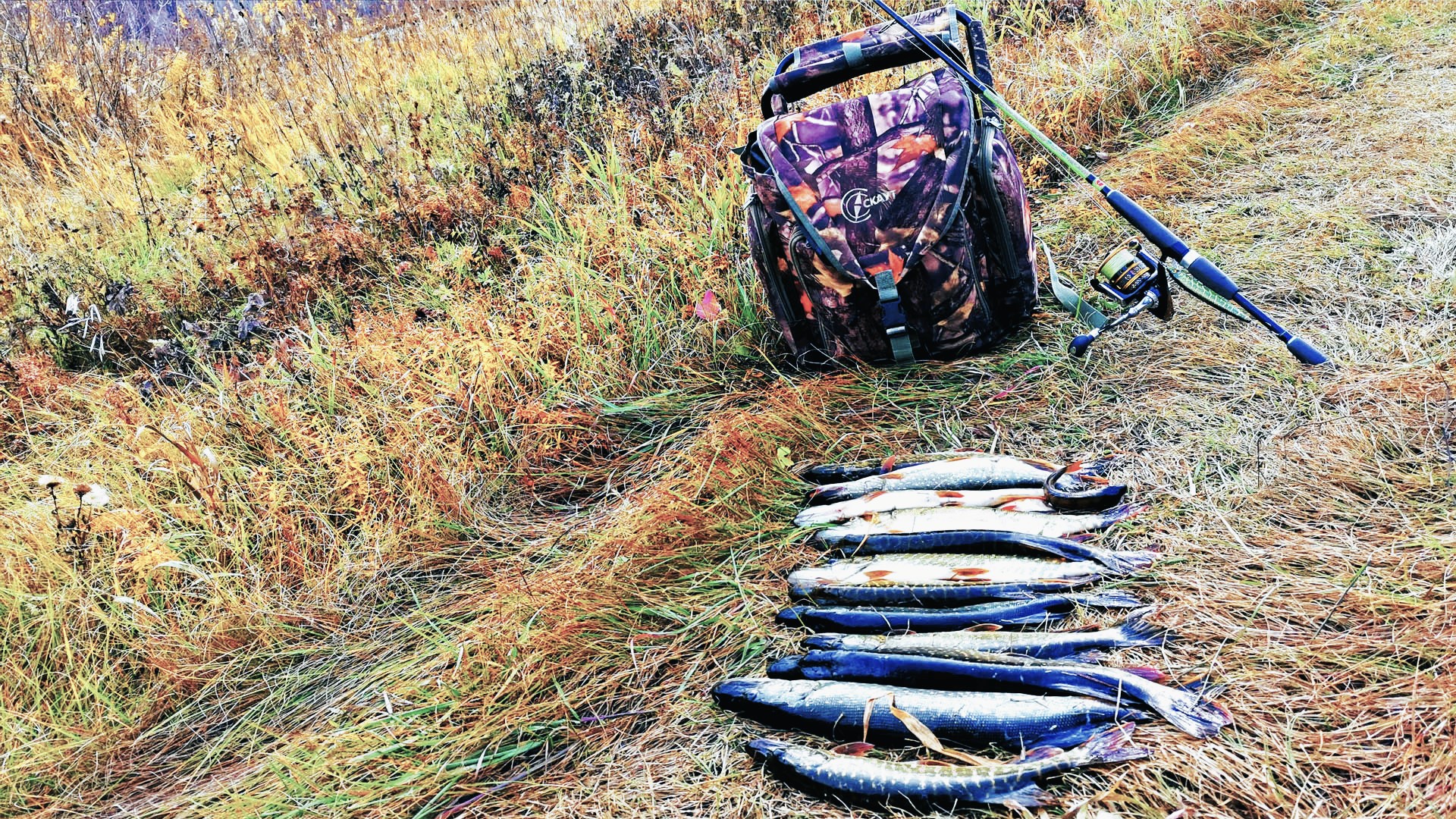 РЫБАЛКА НА ОЗЕРАХ В ПОЙМЕ ОБИ спиннинговая ловля щуки на воблеры, джиг, блесны смотреть онлайн