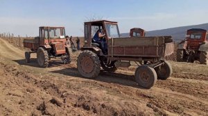 Трактор Т16 родной насосом против Трактор Т16 насосом мтз 82.Что Круче