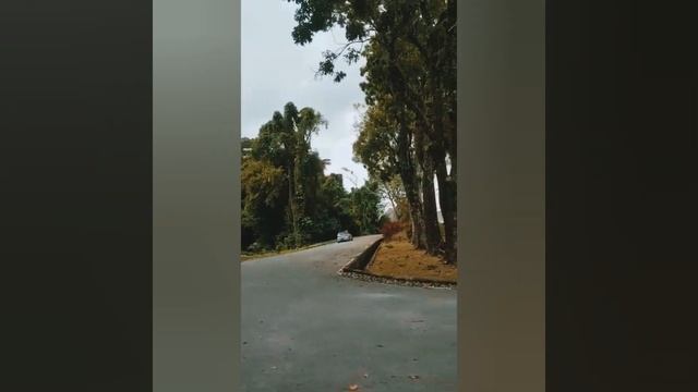 Airtrek Borneo Meet & Greet 17/10/2021 смотреть онлайн