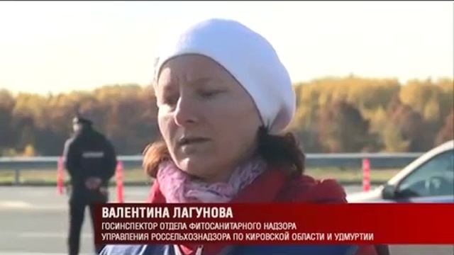На границе с Башкирией выставлены посты в связи со вспышкой ящура в республике (Моя Удмуртия) смотреть онлайн