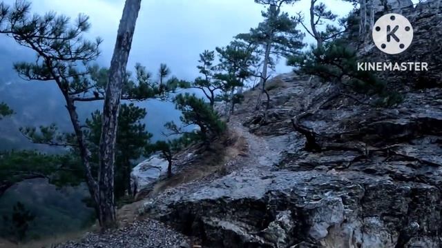 Ялта зимой, прогулка по Боткинской тропе смотреть онлайн