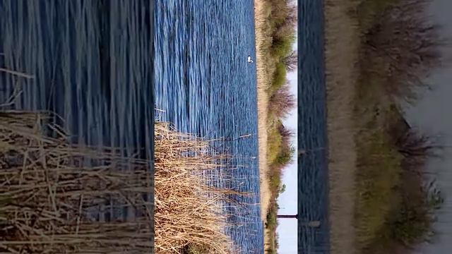 На прогулке у речки. Малышня ещё мелкая.