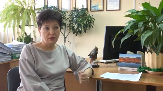 «АудитПартнер» - надежный помощник для предпринимателей и юридических лиц. смотреть онлайн