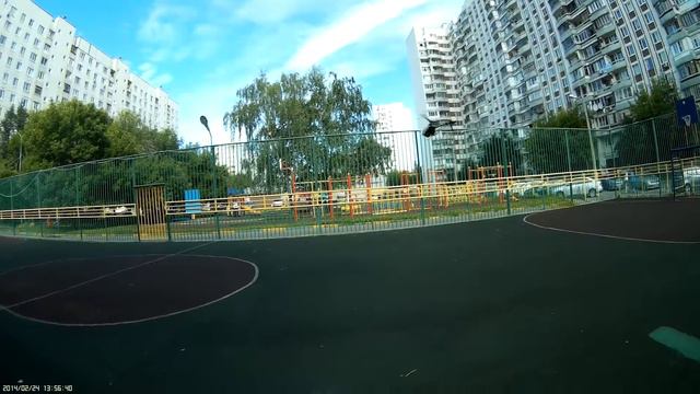 Align T-Rex 450. Test Fly