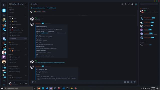 How to exploit web using discord bot смотреть онлайн