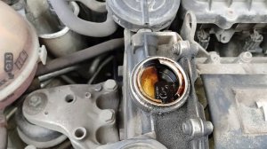 CFNA 1.6 Поло Фольц масло Шелл и Кастрол лак в моторе