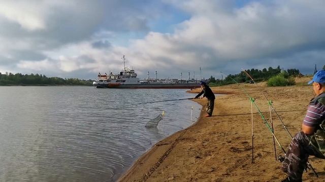 Рыбалка в затоне РЭБ Омск. Отдых с друзьями!!! смотреть онлайн