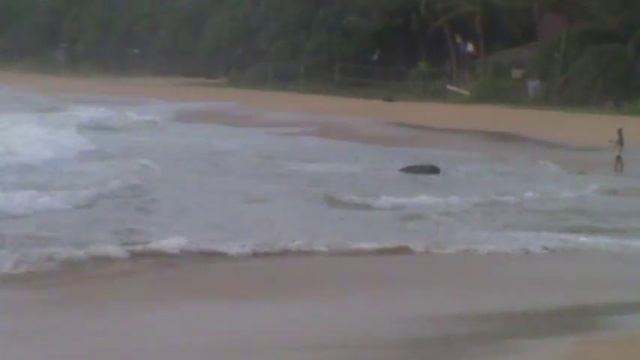 лагуна в induruwa beach смотреть онлайн