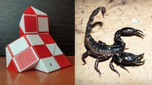 СКОРПИОН ? из змейки Рубика - схема сборки. Фигура № 93