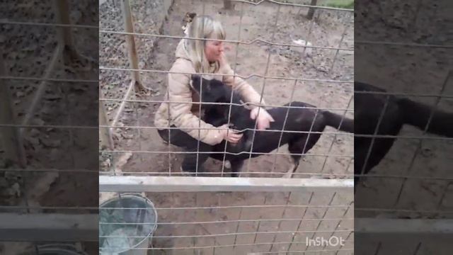 Video-a2ef067e9b939ddf8e7ef94b48c4a63b-V.mp4