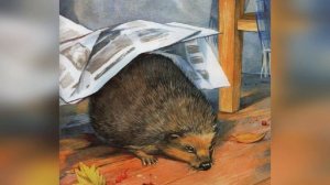 Рассказ М.М. Пришвина "Ёж"