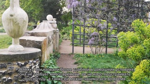 Ученые назвали упражнение для снижения артериального давления смотреть онлайн