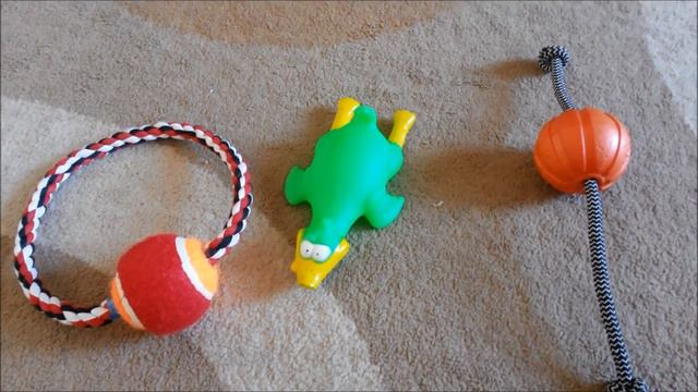 Всё о моей собаке. Кане-Корсо. смотреть онлайн