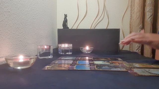 Почему он так себя ведёт ❓️ Что хочет ❓️