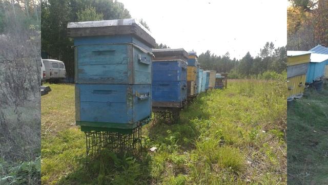 Подставки под ульи. Разные варианты установки смотреть онлайн