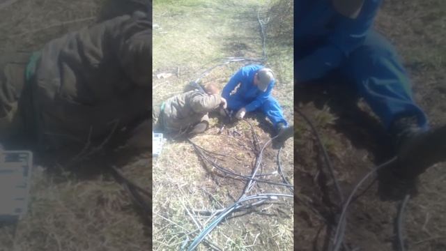 Просто приколы линейщиков смотреть онлайн