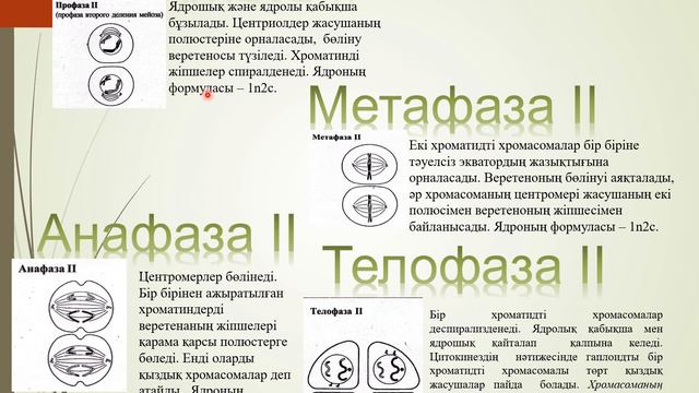 Биология Орынбаева У смотреть онлайн