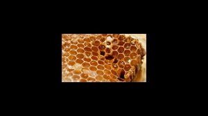 Как хранить мед в сотах