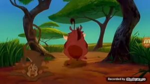 Песня Тимона Пумбы и Симбы Акуна матата