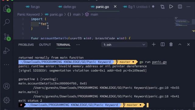 Go Tutorial (Golang) 24 - Panic Keyword in Golang смотреть онлайн