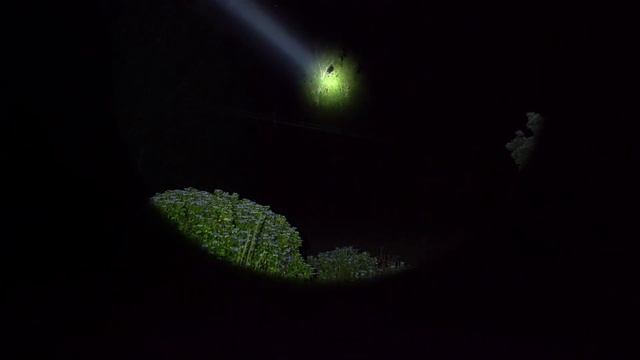 Convoy L21A, Osram LED, 1300 Lumens (Demo) смотреть онлайн