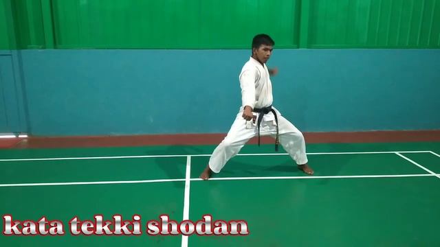 kata tekki shodan full tutorial смотреть онлайн