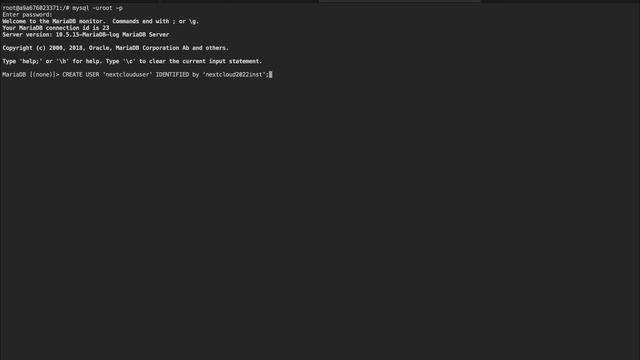 Nextcloud auf Unraid installieren - Tutorial | Easy Tec смотреть онлайн