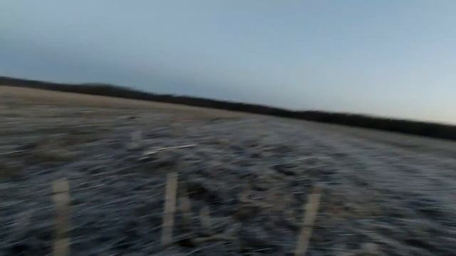 Весенняя охота 2023. Второе утро охоты на гуся. смотреть онлайн