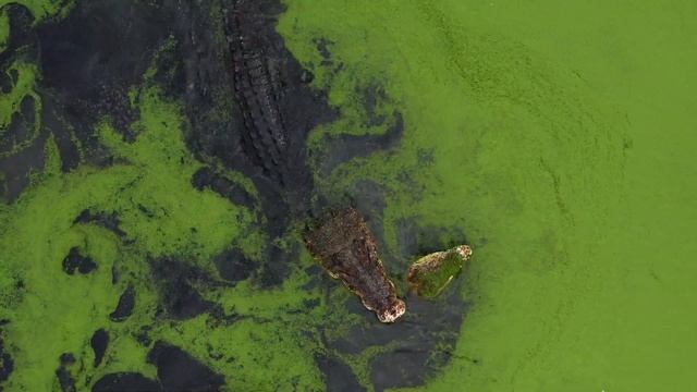 Indonesia 4K Drone - Java, Sulawesi, & Sumatra - Islands, Volcanoes, & Waterfalls смотреть онлайн