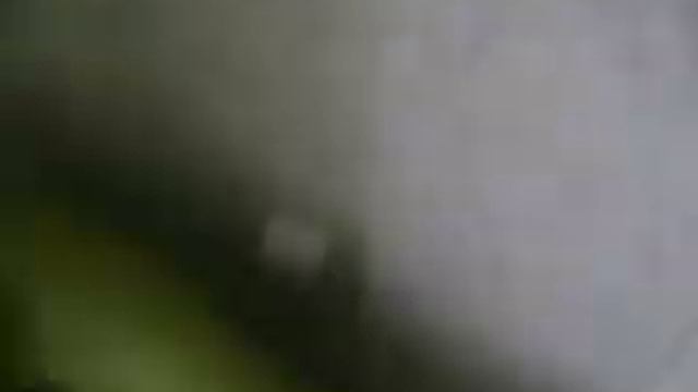 Спасение спаниеля смотреть онлайн