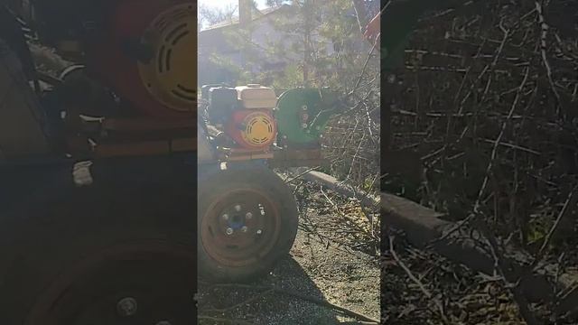 Отечественный измельчитель веток за 13 тр! #тренд #дрова #мотоблок #измельчитель_веток #нева смотреть онлайн