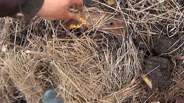 ДАВНО У МЕНЯ НЕ БЫЛО ТАКОГО МЕТАЛЛОКОПА! ЗАБРАЛИ РЕЛЬСУ И НАКОПАЛИ ЛИТОГО МЕТАЛЛА! Коп металлолома смотреть онлайн