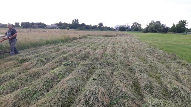 Роторная косилка Заря,покос полевой травы. смотреть онлайн