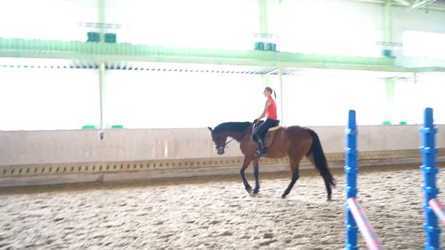 Саша первый раз верхом на Пасифике (тракененская кобыла, 4 года) смотреть онлайн